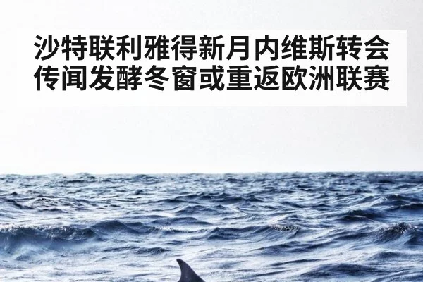 沙特联利雅得新月内维斯转会传闻发酵冬窗或重返欧洲联赛