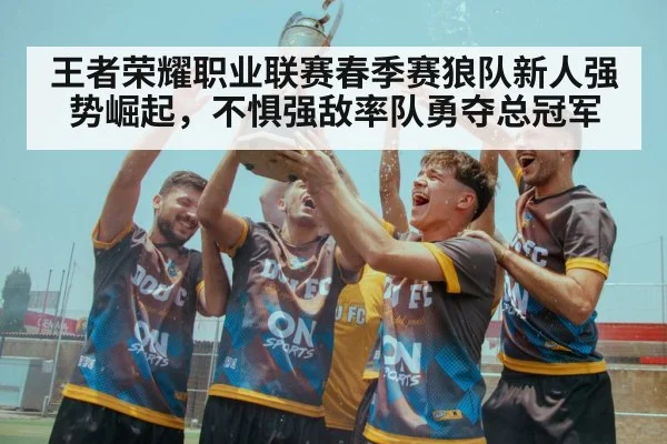 王者荣耀职业联赛春季赛狼队新人强势崛起，不惧强敌率队勇夺总冠军