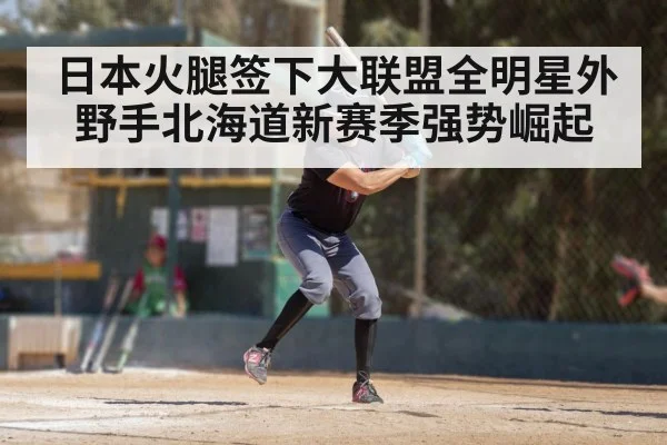 日本火腿签下大联盟全明星外野手北海道新赛季强势崛起